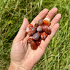 Tumbled Red Jasper Stone