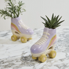 Rollerskate Planter