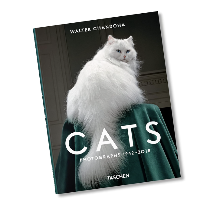 Cats: Photographs 1942 - 2018